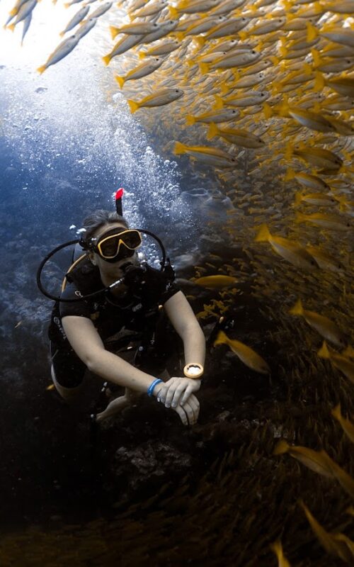 Guided Diving on Koh Tao.