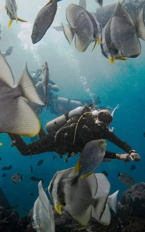 Learning to dive on Koh Tao.