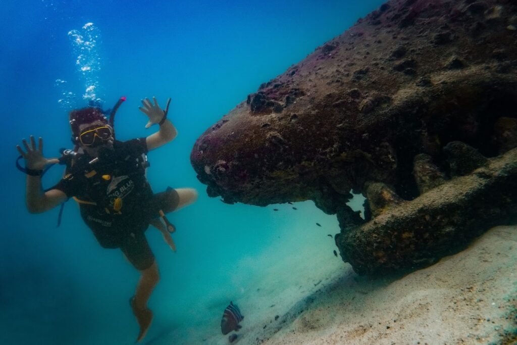 diver on artificial reef