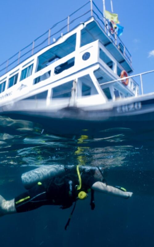 Try Diving on Koh Tao and end up with your Open Water Certification