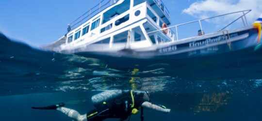 diver next to a dive boat