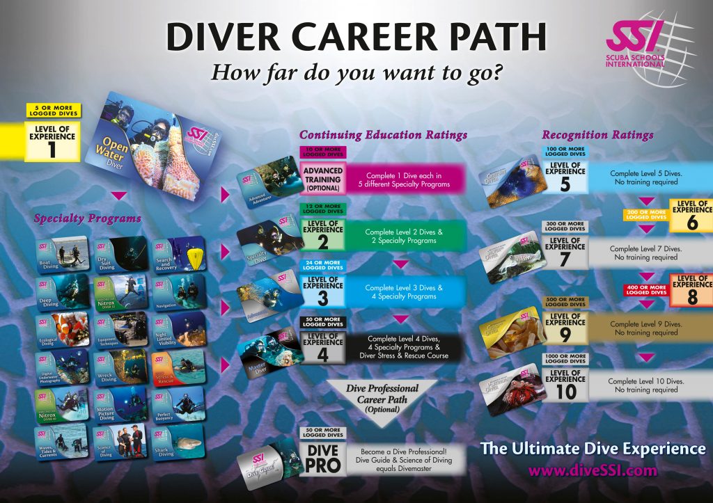 SSI Career Path