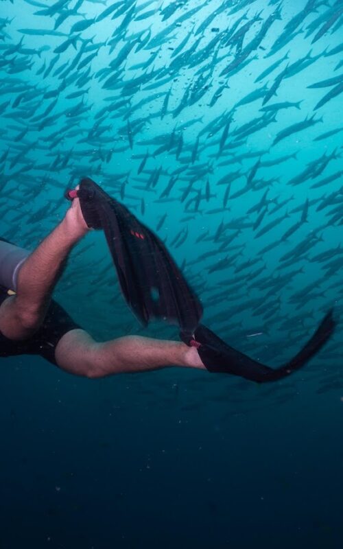 Why Koh Tao Is the Best Place to Get Open Water Certified in 2025