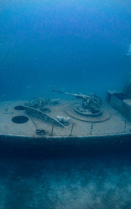 The Advanced Open Water Course or Fun dives?