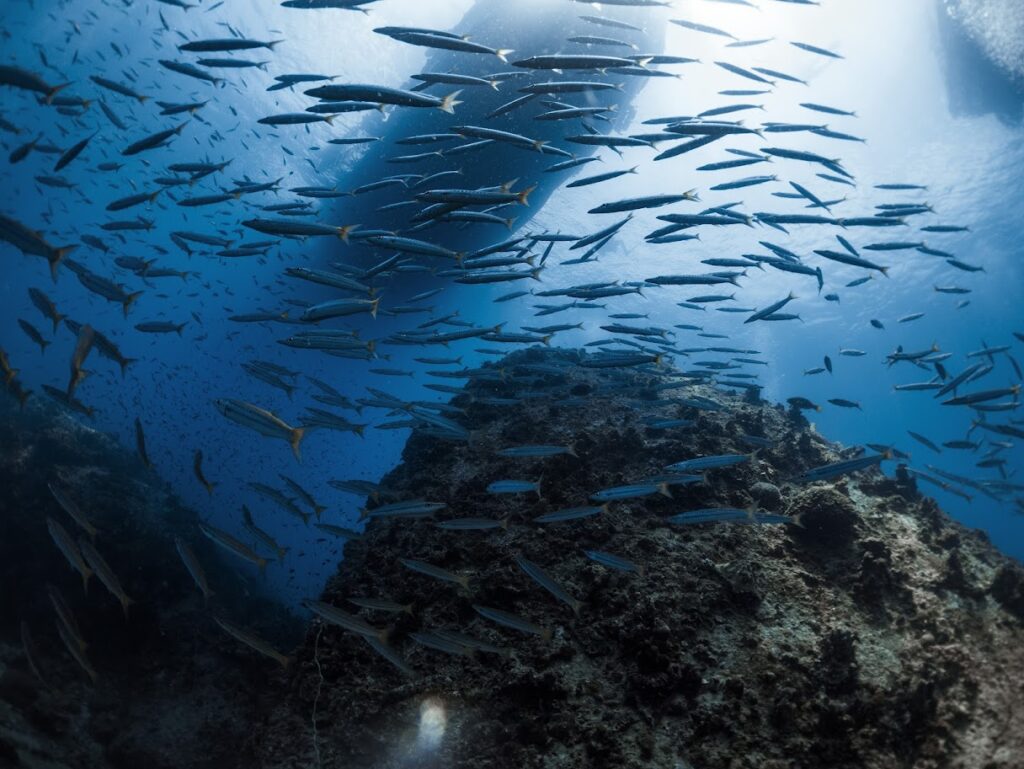 Depth