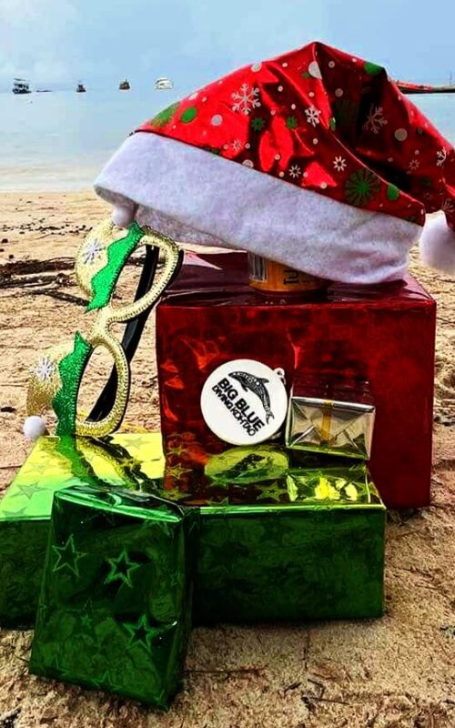 Top 10 Things to Do in Koh Tao This Christmas