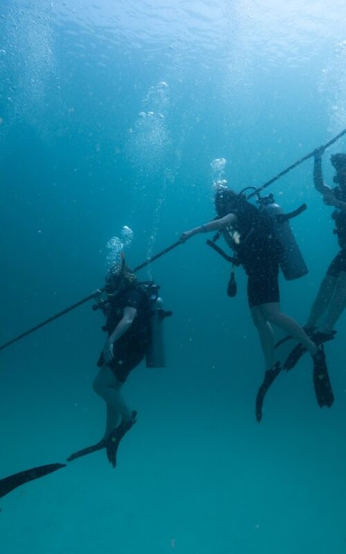 How Long Does It Take to Get Open Water Certified in Thailand?