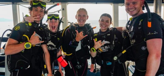 Open Water students diving in Koh Tao with Big Blue Diving
