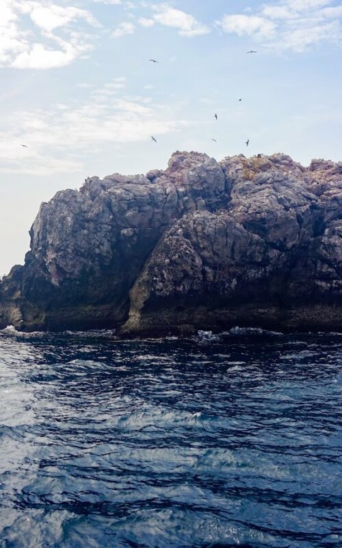 Sail Rock Trips