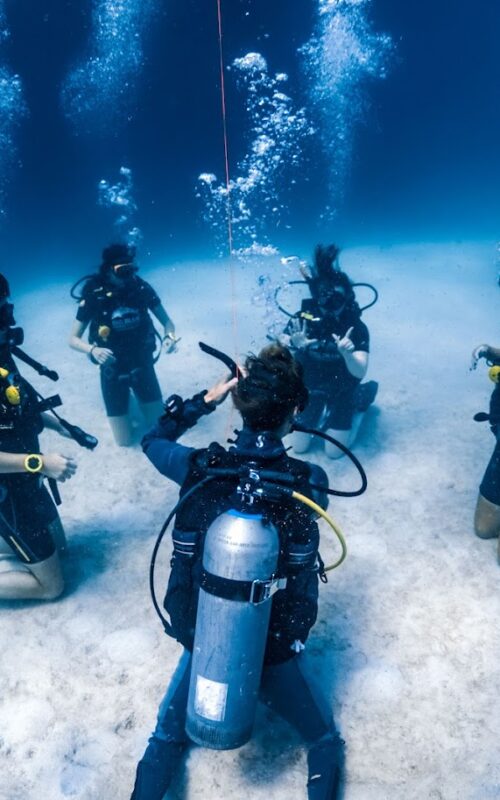 Make a Career Change to Scuba Diving?