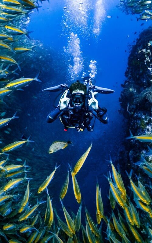 How to Choose the Right Dive Center in Koh Tao: 10 Expert Tips for Safe and Memorable Dives