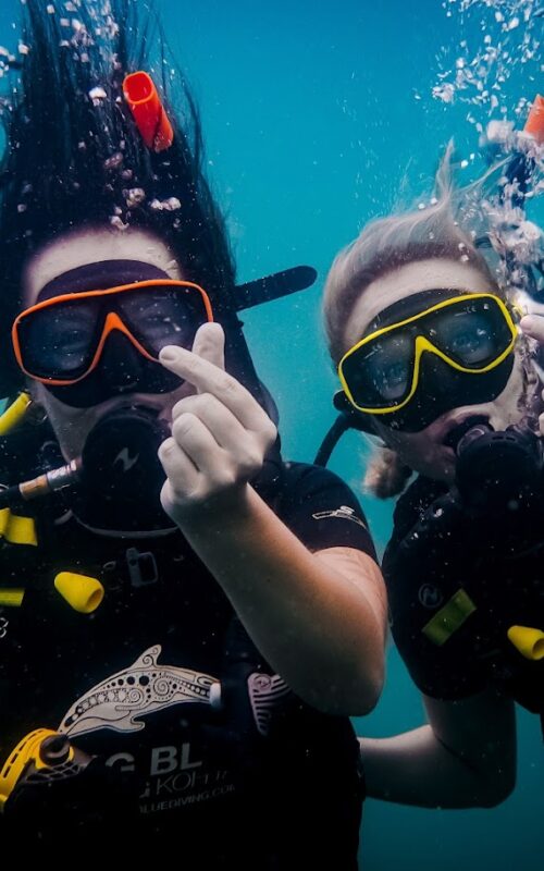 Budget Guide 2026: How Much is Diving on Koh Tao?