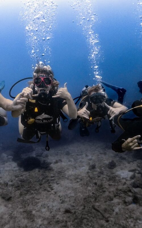 Family Diving in Koh Tao: 10 Safe & Kid-Friendly Dive Sites for an Unforgettable Adventure