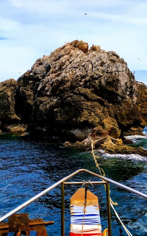 Dive Sail Rock from Koh Tao: Swim-Throughs, Whale Sharks & Schooling Fish