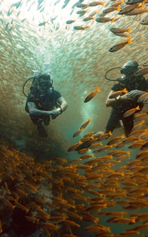 Diving at Southwest Pinnacle: The Ultimate Koh Tao Dive Site