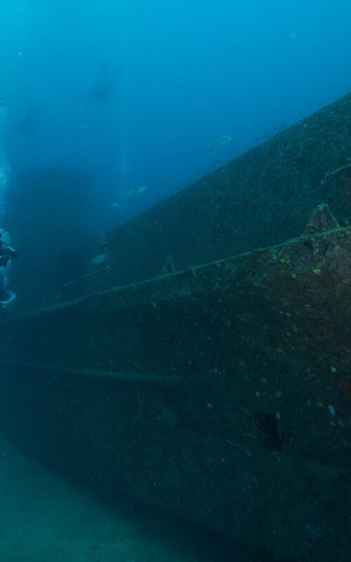 How Much Does It Cost to Dive on Koh Tao or Get Open Water Certified?