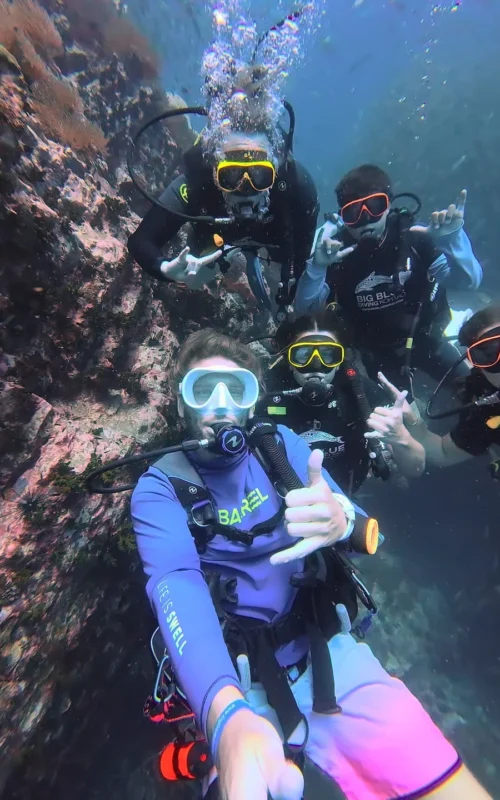 Diving with Big Blue? Be a Great a Dive Buddy.