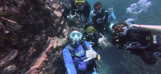 selfies stick for scuba divers