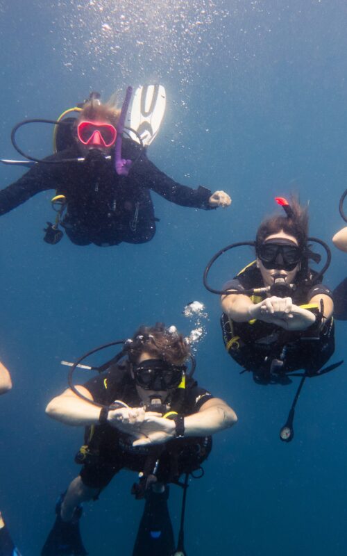 What to Expect During an Open Water Course in Koh Tao