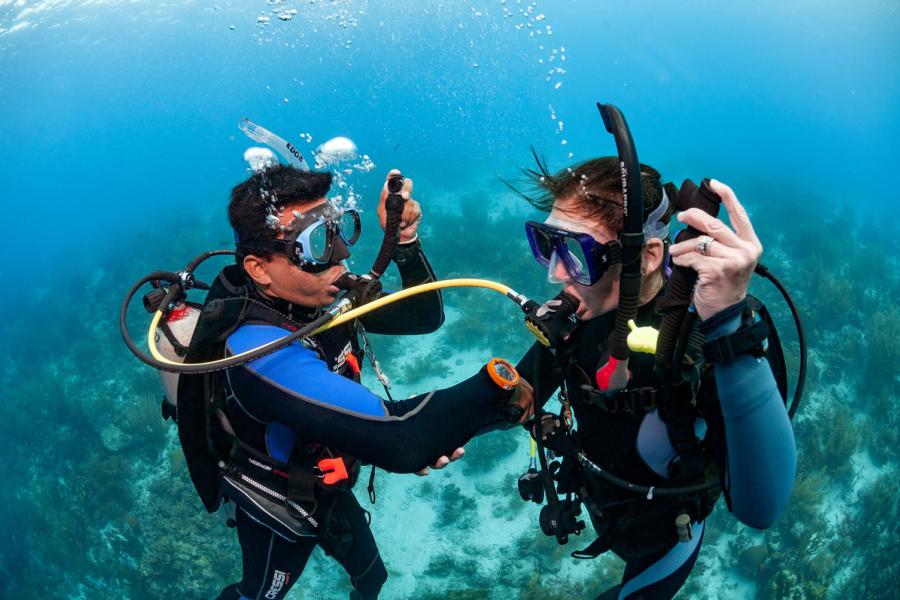 Divemaster training
