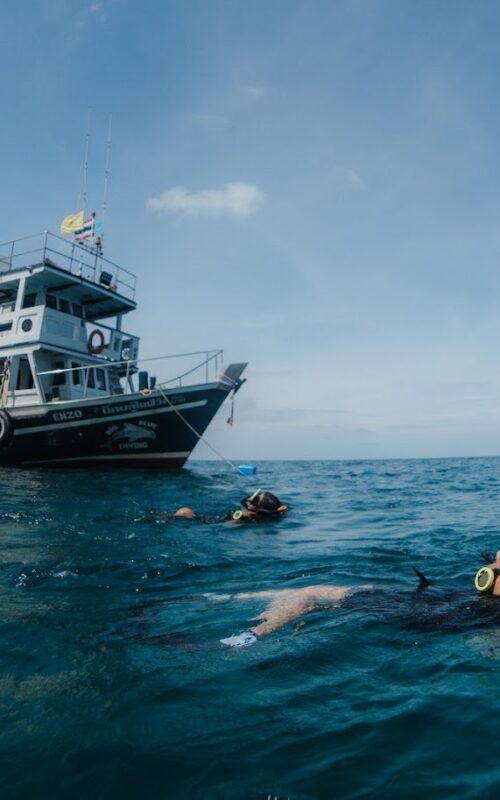 The Ultimate Guide to Scuba Diving in Koh Tao: Best Sites, Costs & Tips!