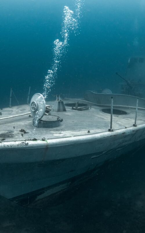 Fun Diving vs Advanced Diving: What’s Right for You in Koh Tao