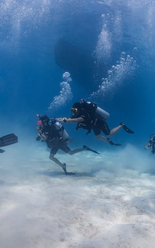 Is Koh Tao a Good Place to Learn to Dive?