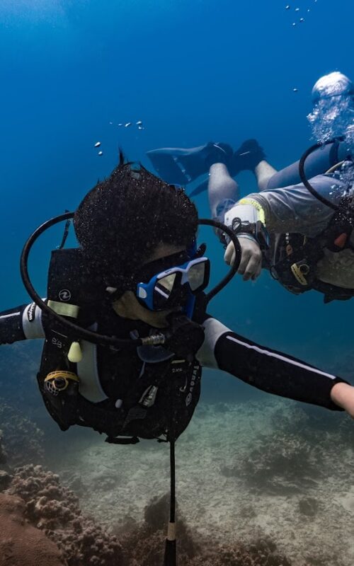 Learn to Dive on Koh Tao: Save 1,000Bt By Combining the Open Water & Advanced Course.