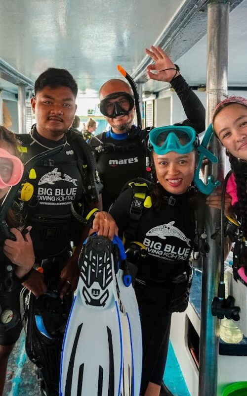 Standing Out amid Koh Tao Dive Centers.