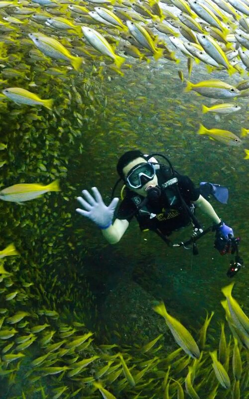 Diving Thailand with Big Blue Diving Koh Tao